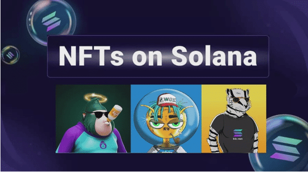 Learning more about Solana NFT - NFTcrypto.io
